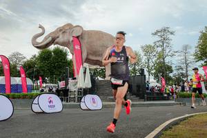 BIB: 
                            <button type="button" onclick="openModal(26528700)" class="btn btn-primary btn-sm float-right btn-popup" data-toggle="modal" data-target=".modal-high-quality">
                        <i class="fas fa-shopping-cart"></i> Add to Cart
                    </button>
                                            <button type="button" onclick="isThisMe(26528700, true)" class="btn btn-success btn-sm float-right btn-popup btn-isme hidden" data-toggle="tooltip" data-placement="bottom" title="นี่คือรูปของคุณใช่ไหม คลิกที่นี่เพื่อเอาเข้าอัลบั้ม">
                        <i class="fas fa-plus"></i> Add to album
                    </button>
                    <button type="button" onclick="isThisMe(26528700, false)" class="btn btn-warning btn-sm float-right btn-popup btn-isnotme hidden">
                        <i class="fas fa-ban"></i> Remove from album
                    </button>